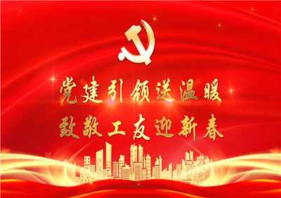 党建引领送温暖，致敬工友迎新春——俄罗斯专享会294七建党支部新春项目部慰问